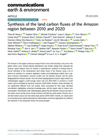 Synthesis of the land carbon fluxes of the Amazon region between 2010 and 2020