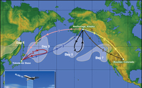 Flight patterns during the PACDEX field project, (DI01634)