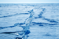 Shiny ice lead in Arctic ocean (DI00191), Photo by James Hannigan