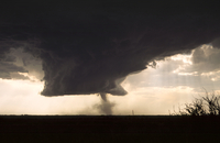 Wall cloud with emerging tornado (DI02715), Photograph by Greg Thompson