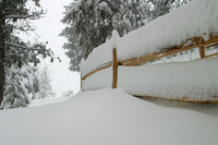 Snowstorm (DI01121), Photo by Carlye Calvin