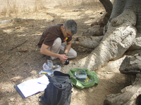 Researcher working on Ghana meningitis project (DI02464) Photo by Christine Wiedinmyer