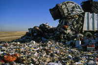 Landfill (DI00392), Photo by Carlye Calvin