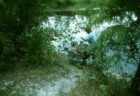 Methane research: Florida swamp (DI00060), Photo by Patrick Zimmerman