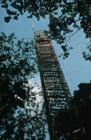 Instrumented tower at EXPRESSO program (DI00758), Photo by Lee Klinger