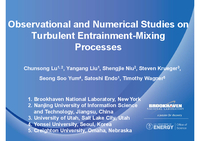 Observational and numerical studies on turbulent entrainment-mixing processes