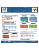 Customizing compression for CESM data [poster]