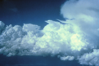 Altocumulus clouds (DI00116)